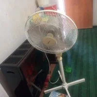 بخاری سالم ۲ عدد