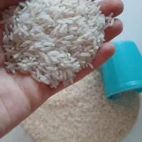 چمپا