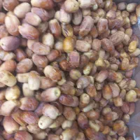 ارزان سرای گلسرخ لنگرود