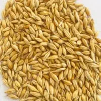 خوراک دام و طیور