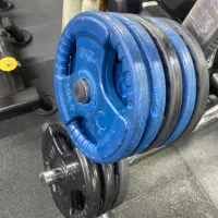 وزنه و دمبل باشگاهی