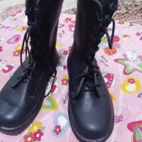 بوتین پاما ۴۱