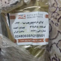 لولای کاپوت تیبا