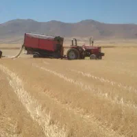 جابجای کاه بادستگاه