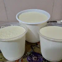 ماست محلی پرچرب