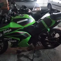 ninja 300