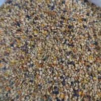 گرده گل زنبور عسل