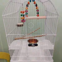 قفس پرنده