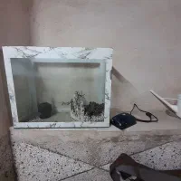 آکواریوم سالم