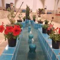 نیازمند نیرو خانم