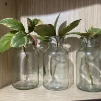 بطری شیشه ای