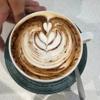 فروش و عرضه انواع دان قهوه