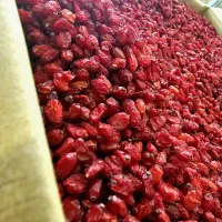 زرشک پفکی اعلا