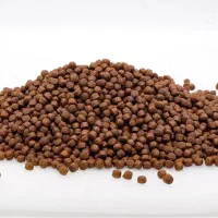 غذای خشک سگ با فرمول آمریکایی