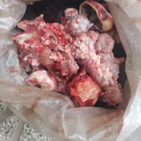 اشغال گوشت