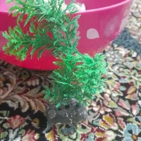 وسایل آکواریوم
