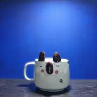 ظروف سرامیکی