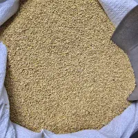فروش الوم ارزن دان پرنده