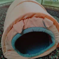 جای خواب گربه