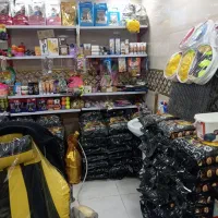 پت شاپ منافی