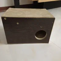 لانه عروس هلندی