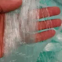 درخواست تور ماهیگیری