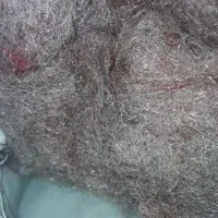 ۶عددبالشت‌ویک پتوی‌دونفره‌بالشت‌پر۲عدد|رختخواب، بالش، پتو|همدان, |دیوار