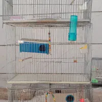 قفس پرنده