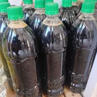 شیره|خوردنی و آشامیدنی|نیشابور, شریعتی|دیوار