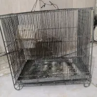قفس سره