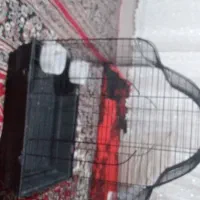 قفس مناسب برای تمام پرندگان