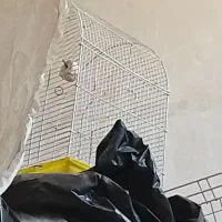 قفس پرنده