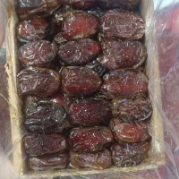 خرما کبکاب تلسکوپی دست چین صادراتی