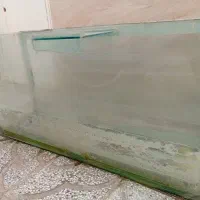 آکواریوم