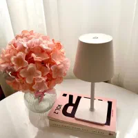 آباژور  رومیزی