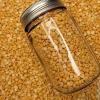 انواع حبوبات درجه یک موجوداست
