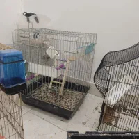 قفس|لوازم جانبی حیوانات|اهواز, بهارستان|دیوار