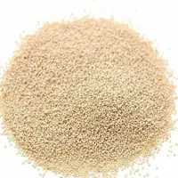 بذر درجه یک