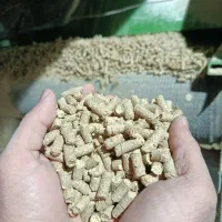 جو ذرت پلیت خوراک گاو گوساله سوپر استارتر