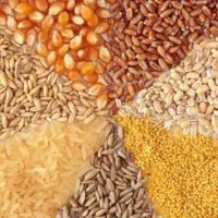 خوراک دام قیمت مناسب