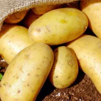 جذب نیروی آقا