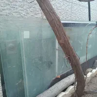 شیشه سکوریت بازشو