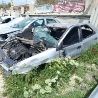 زانتیا چپی