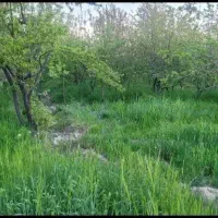 باغ-میوه-به-متراژ-800-متر-مربع