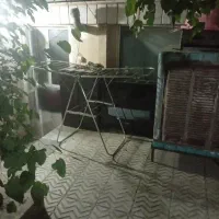 اجاره سوئیت