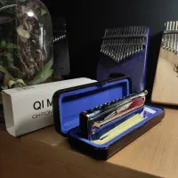 سازدهنی harmonica