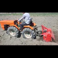 تراکتور گلدونی ۲۳۸ باغی