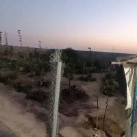۸۱۶متر باغ میوه/استخردار/بنا/آماده سرمایه‌گذاری