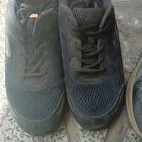 کفش کار