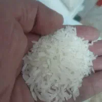 برنج|خوردنی و آشامیدنی|کرج, شهر صنعتی|دیوار
